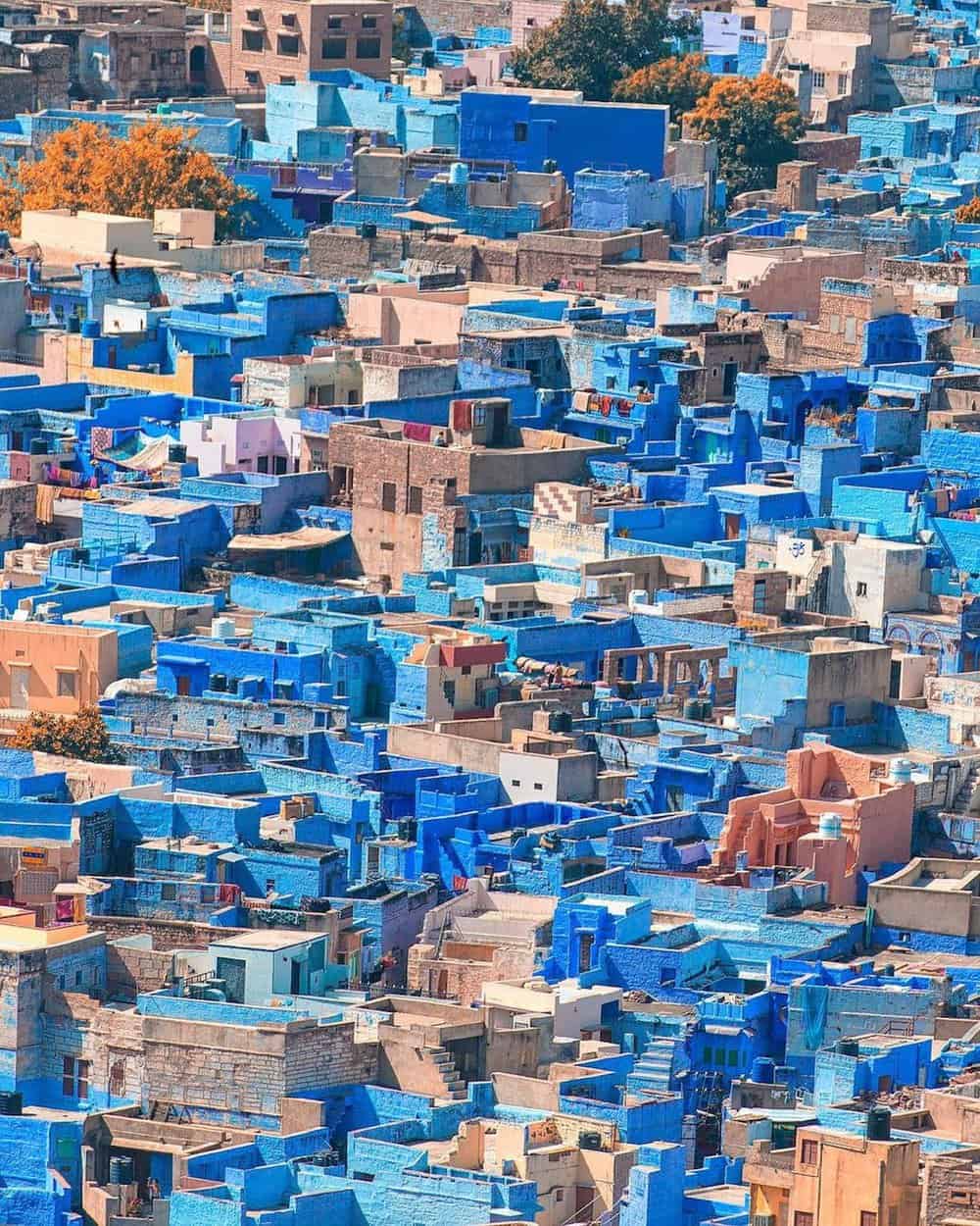 aerial shot of brown and blue houses in jodhpur india 2 Month India Itinerary 