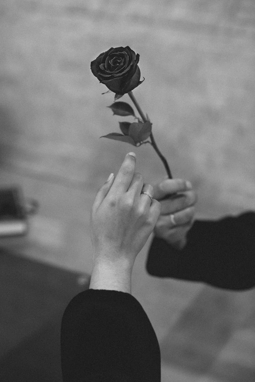 grayscale photo of person holding flower