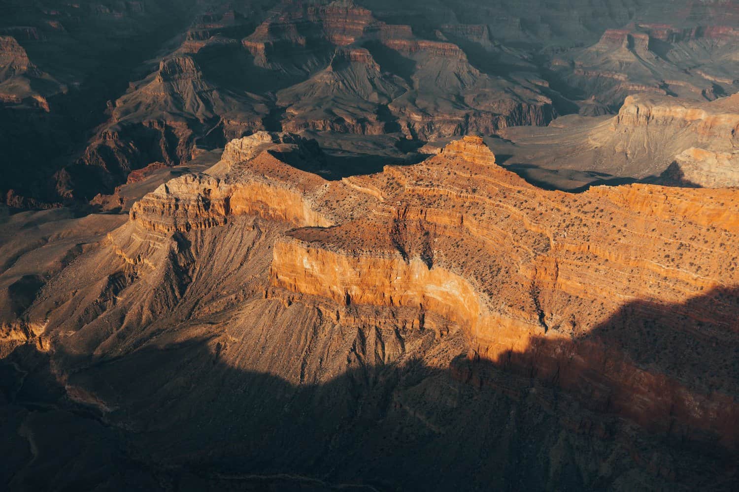 the grand canyon in the sunlight