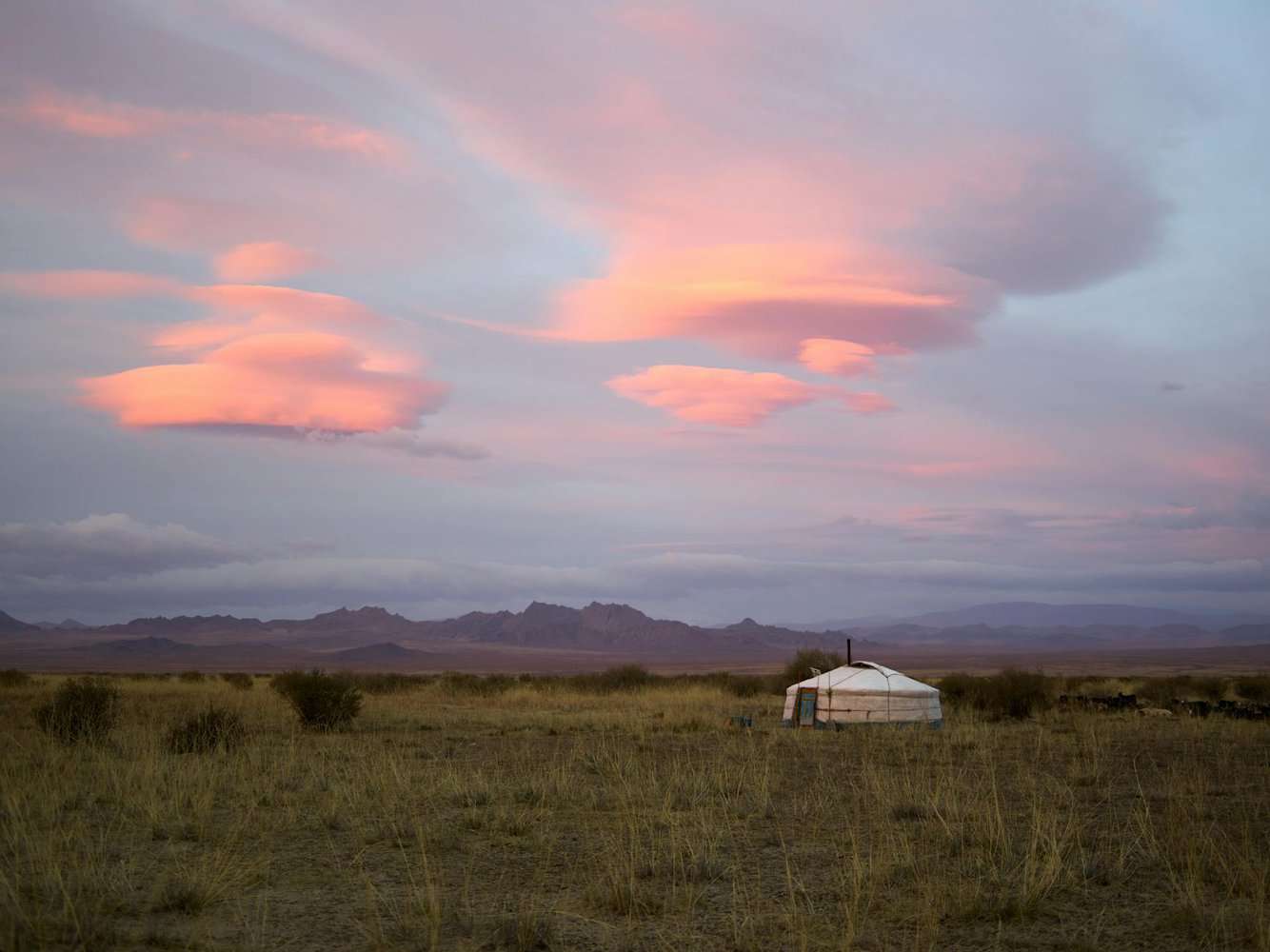 lonely mongolian yurt in countryside during sunrise. exploring mongolian temples