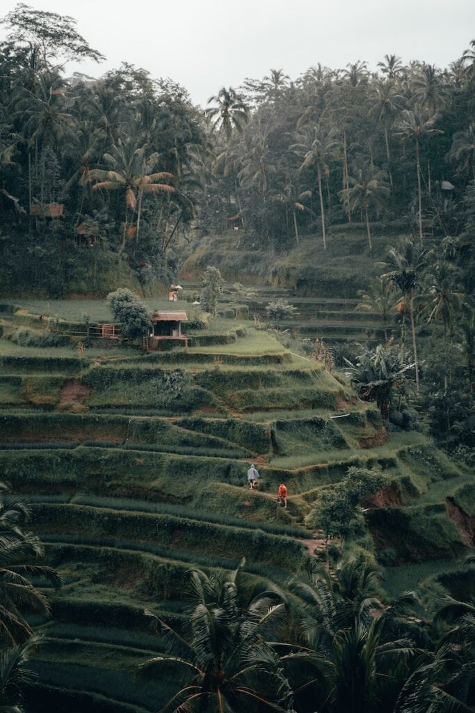 rice terraces in ubud bali balinese spirituality